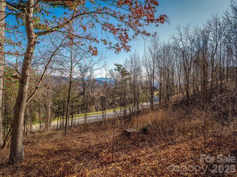 167 Summit Tower Cir #236, Asheville, NC 28804