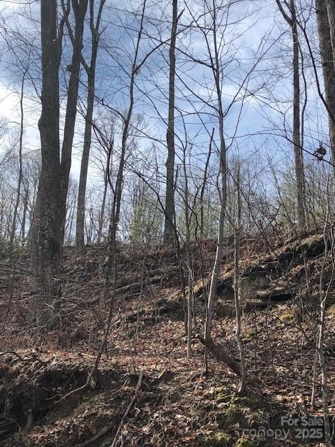 000 Marshall Ridge Rd #79, Hendersonville, NC 28792