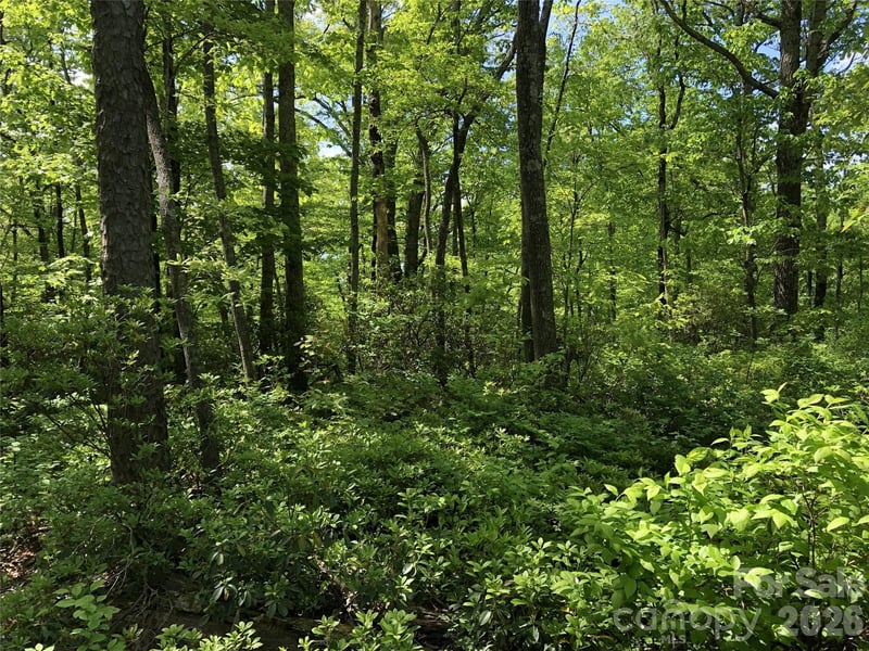 Millard Crossing #15, Hendersonville, NC 28792
