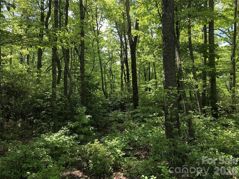 00 Millard Crossing #17, Hendersonville, NC 28792