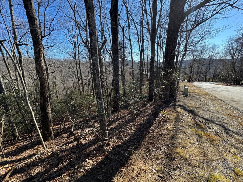 Lot 19 Udoque Ct, Brevard, NC 28712