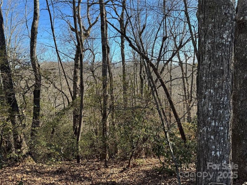 Lot 19 Udoque Ct, Brevard, NC 28712