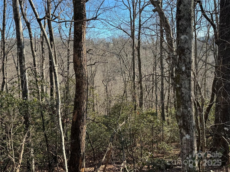 Lot 19 Udoque Ct, Brevard, NC 28712