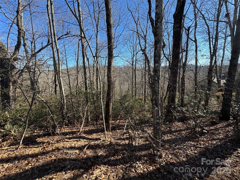 Lot 19 Udoque Ct, Brevard, NC 28712