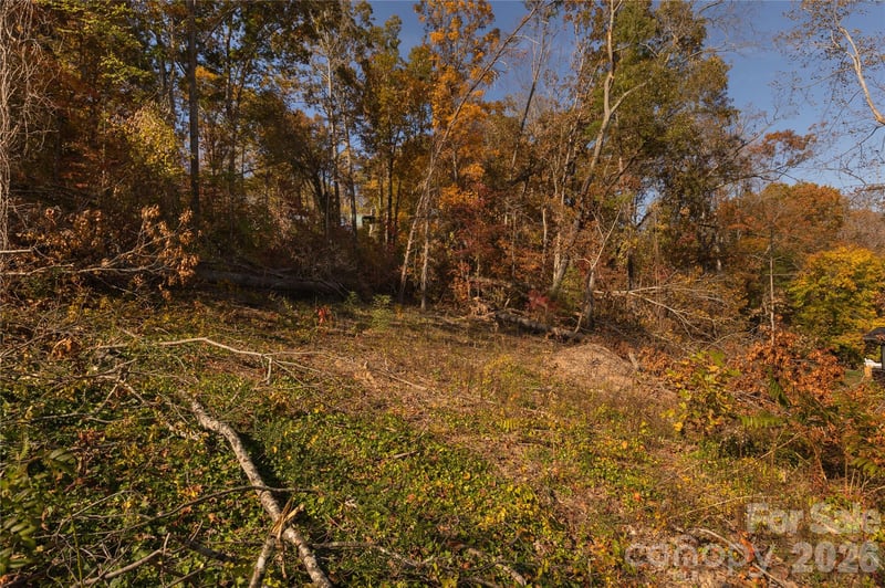 13 Bassett Rd, Asheville, NC 28804