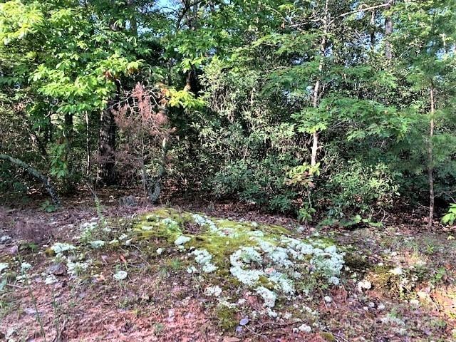 Swans Way #262, Lake Lure, NC 28746