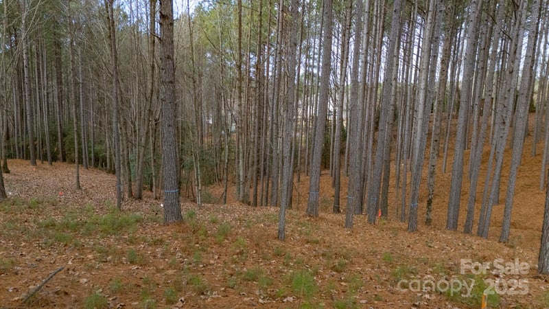 340 Gardner Point Dr, Stony Point, NC 28678