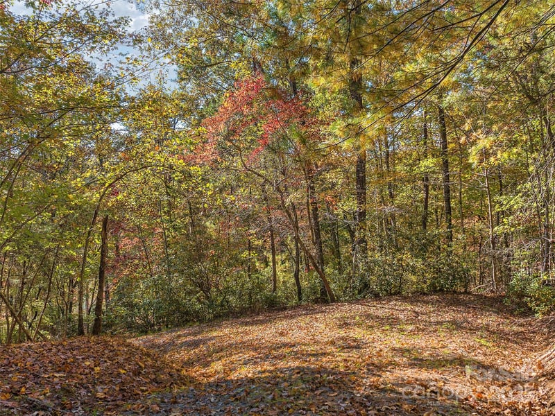 000 South Cove Rd #17, Mill Spring, NC 28756
