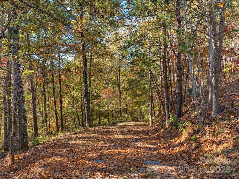 000 South Cove Rd #17, Mill Spring, NC 28756