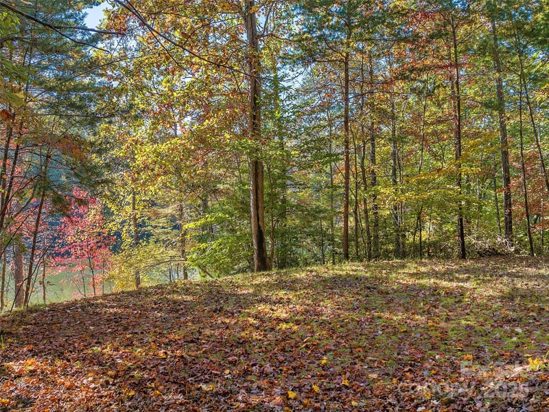 000 South Cove Rd #17, Mill Spring, NC 28756