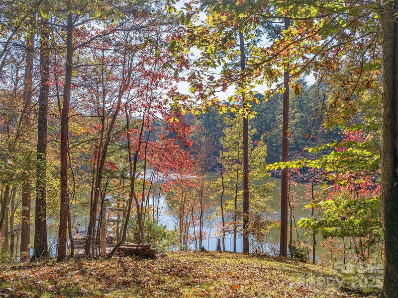 000 South Cove Rd #17, Mill Spring, NC 28756