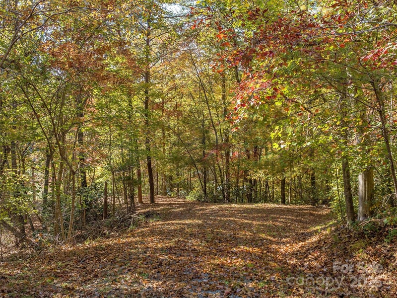 000 South Cove Rd #17, Mill Spring, NC 28756