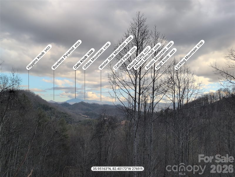 151 Thunderstruck Rg, Burnsville, NC 28714