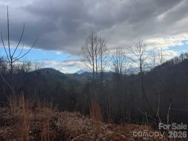 151 Thunderstruck Rg, Burnsville, NC 28714