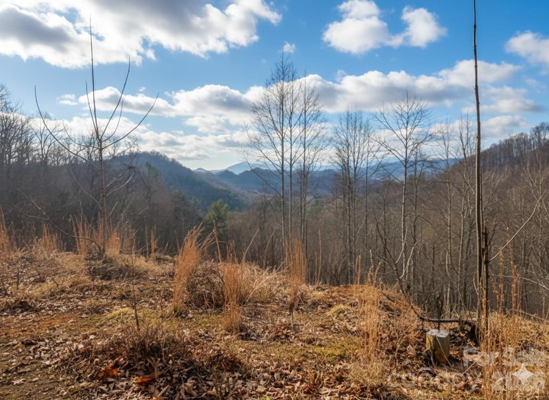 151 Thunderstruck Rg, Burnsville, NC 28714