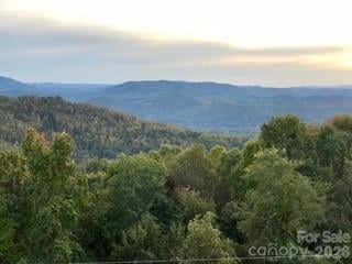 1403 Fleetwood Pz, Hendersonville, NC 28739