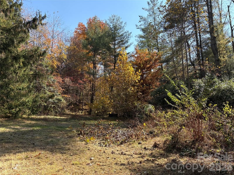 276 Cedar Creek Rd, Black Mountain, NC 28711
