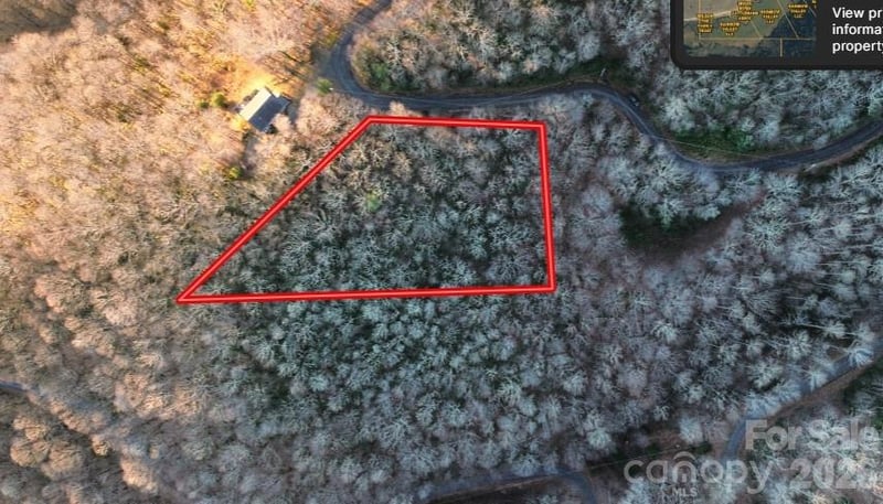 Lot 32 Bear Hollow Rd #32, Waynesville, NC 28785