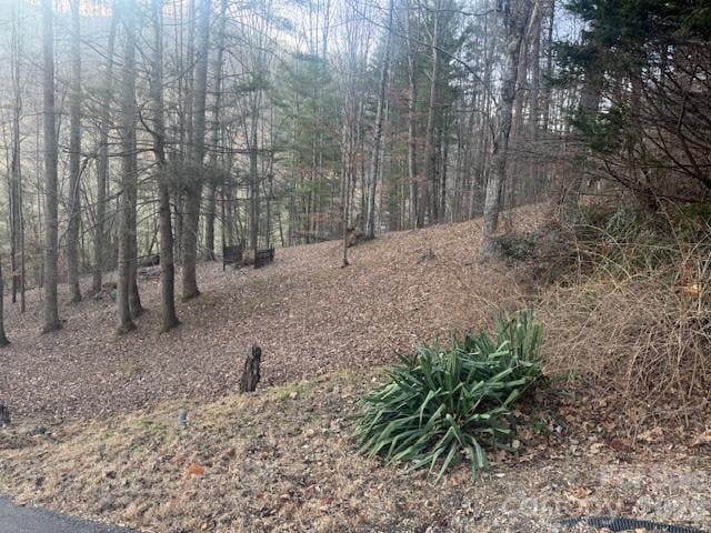 1372 Lickskillet Rd, Burnsville, NC 28714