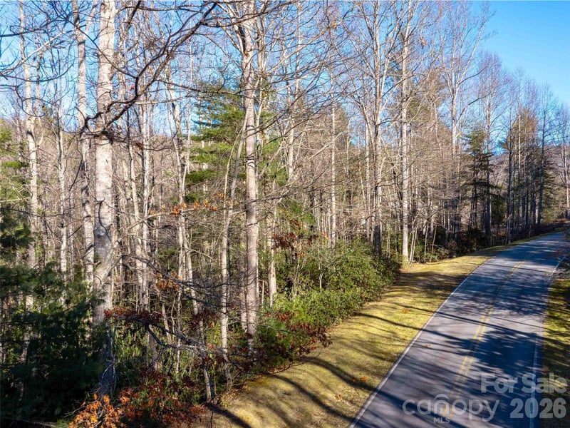 000 Chattooga Rn #306, Hendersonville, NC 28739