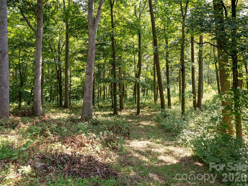 19 Keeping Kyle Crossing, Asheville, NC 28804