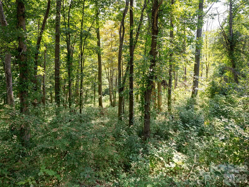 19 Keeping Kyle Crossing, Asheville, NC 28804