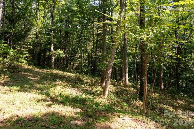 19 Keeping Kyle Crossing, Asheville, NC 28804