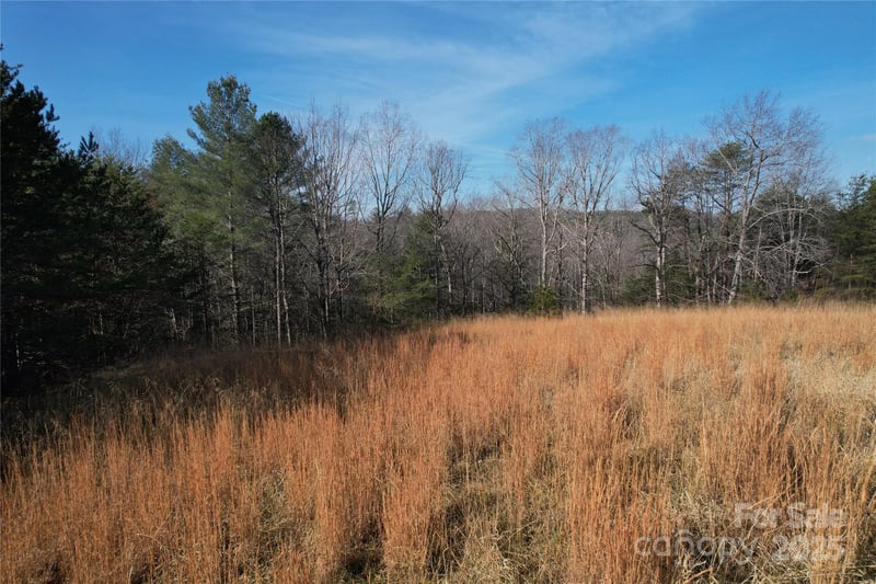 00 Virginia Rg #57, Connelly Springs, NC 28612