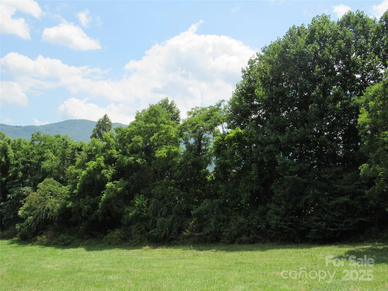 Mystic View Ln, Black Mountain, NC 28711