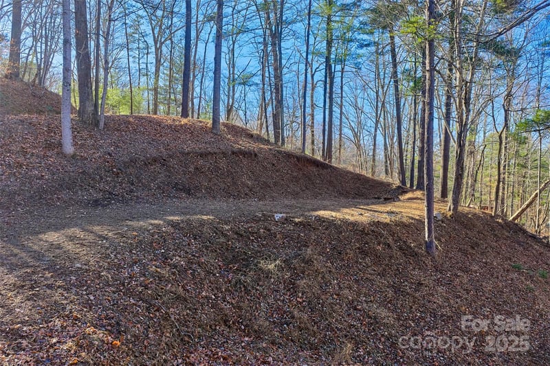 15 Beech Tree Ln, Asheville, NC 28804