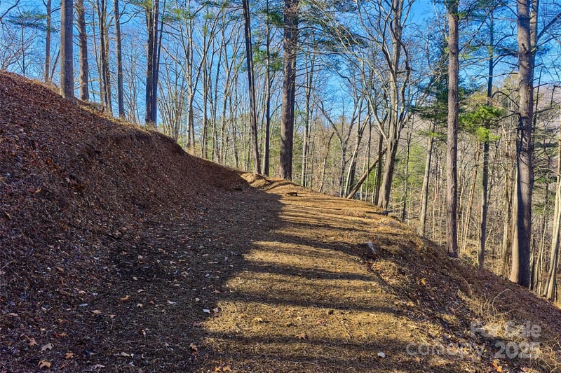 15 Beech Tree Ln, Asheville, NC 28804