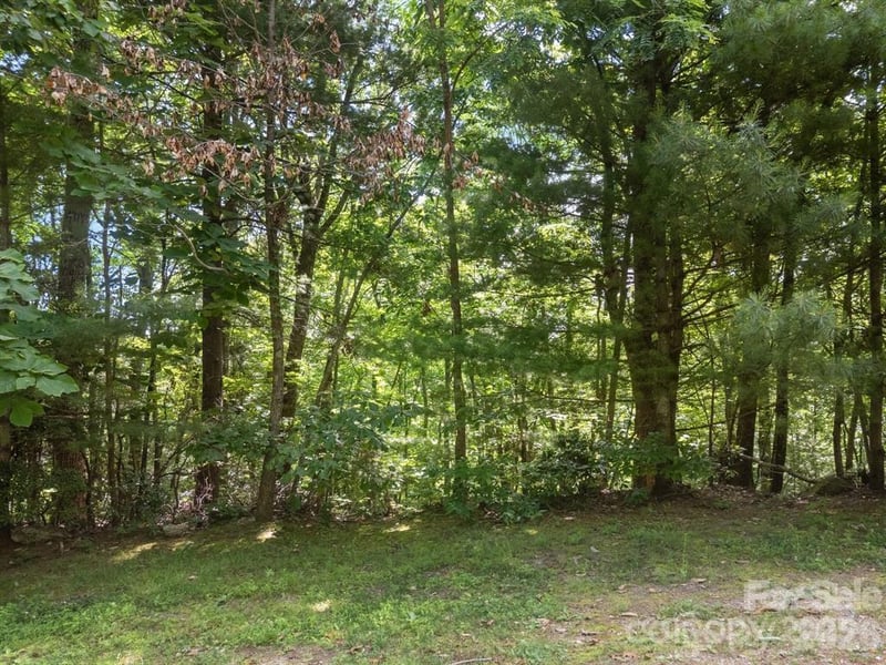 360 Kenmure Dr, Flat Rock, NC 28731