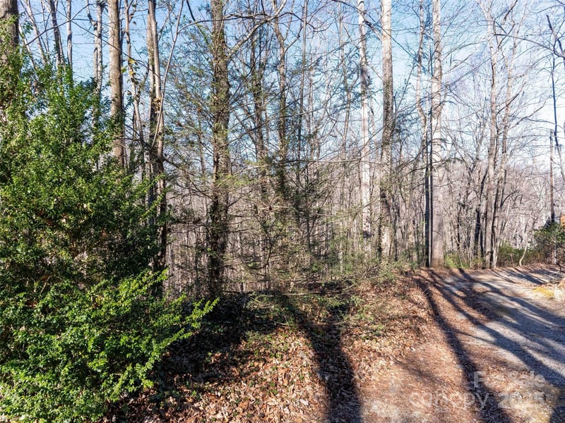 00 Mountain Page Rd #17,18,19, Saluda, NC 28773