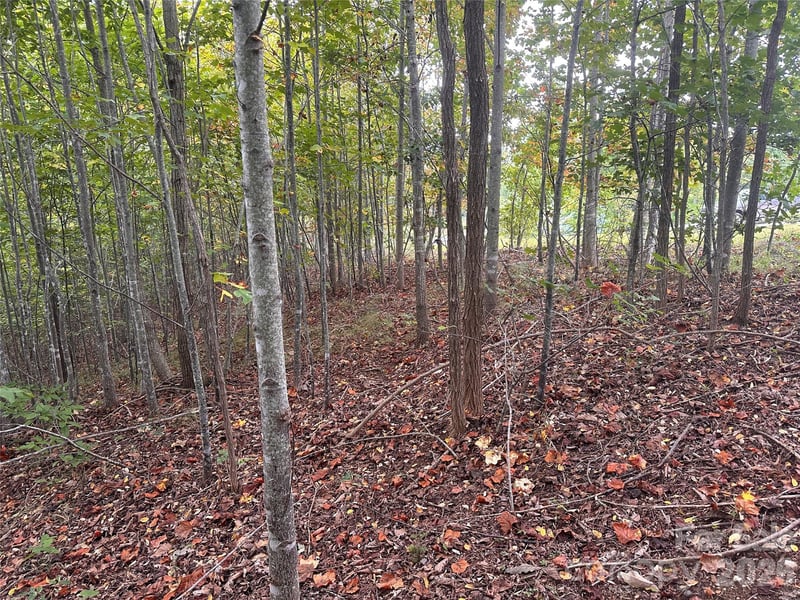 311 Scenic Vista Dr #254, Nebo, NC 28761