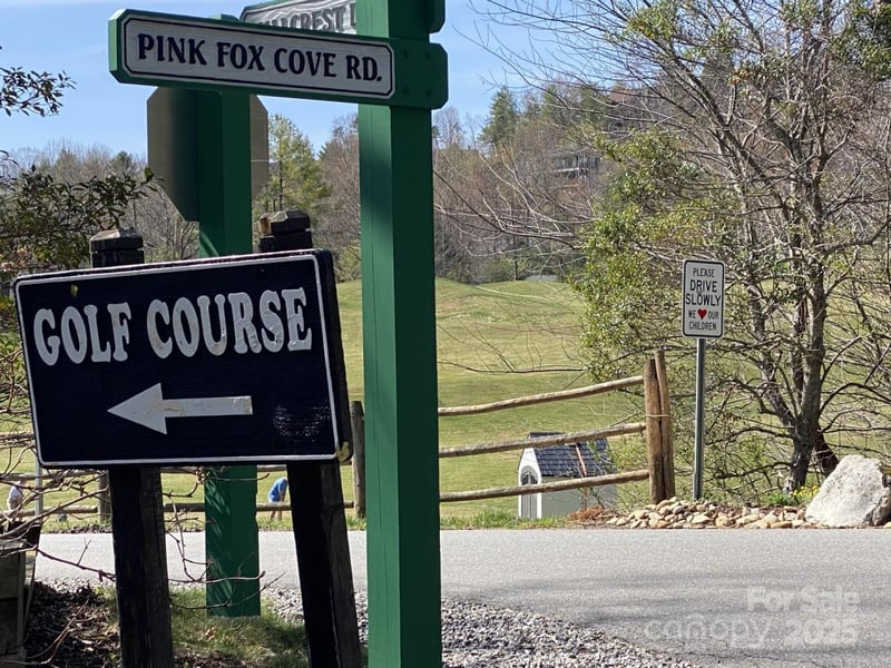 1 Pink Fox Cove Rd, Weaverville, NC 28787