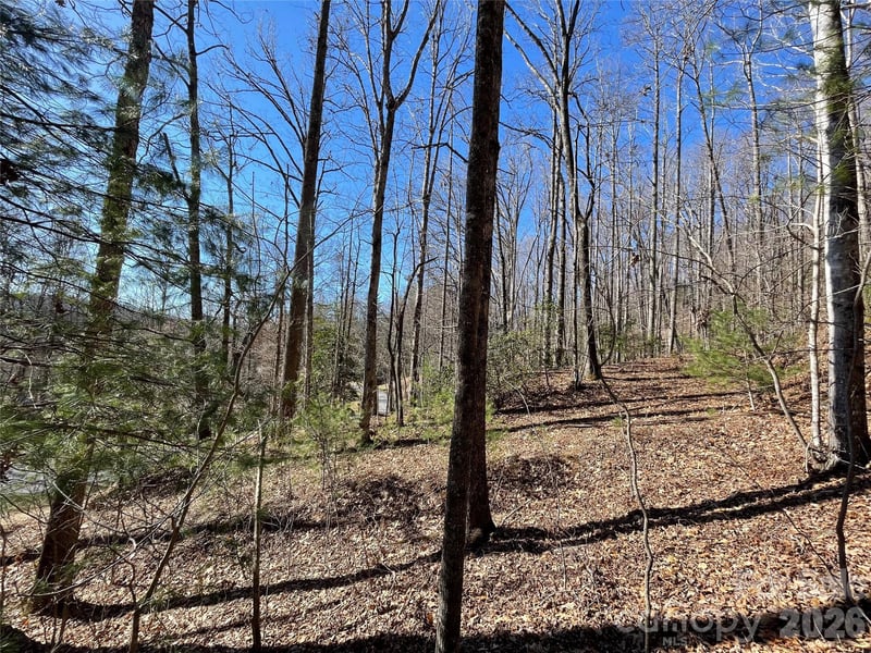 00 Chattooga Rn #292R, Hendersonville, NC 28739