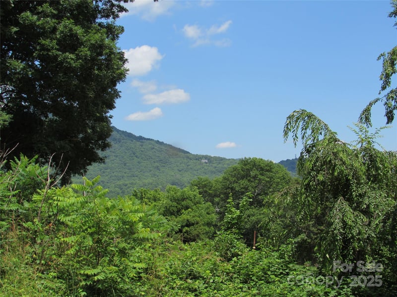 Mystic View Ln, Black Mountain, NC 28711