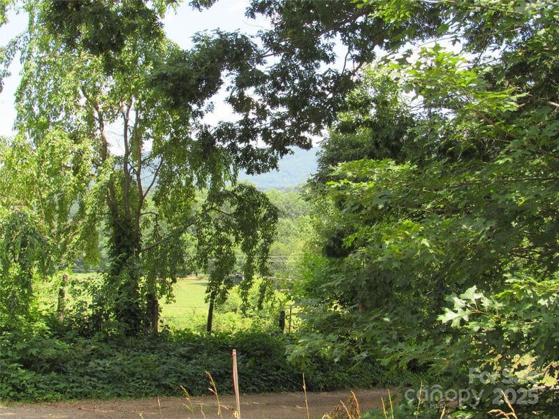 Mystic View Ln, Black Mountain, NC 28711