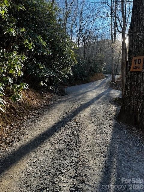 9999 Tessie Ln, Black Mountain, NC 28711