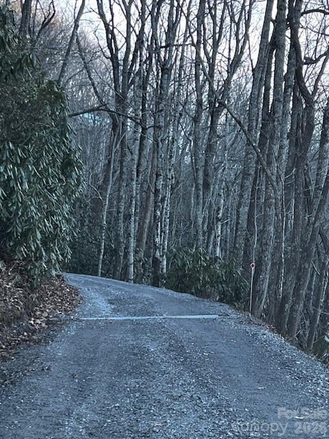 9999 Tessie Ln, Black Mountain, NC 28711
