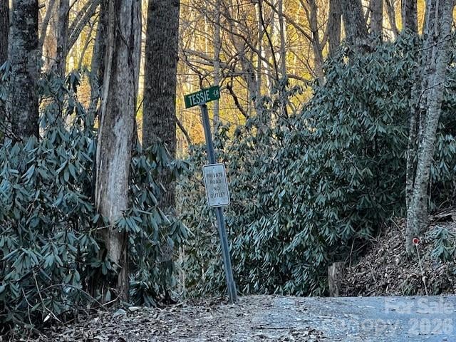 9999 Tessie Ln, Black Mountain, NC 28711