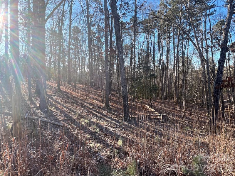 1866 Fairfield Rd, Mount Gilead, NC 27306
