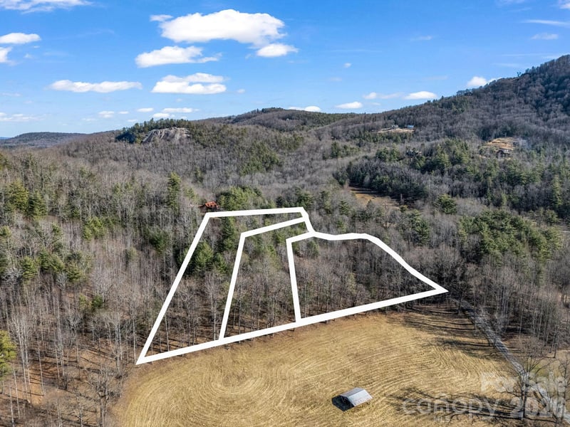 171 Justamere Ln, Hendersonville, NC 28739