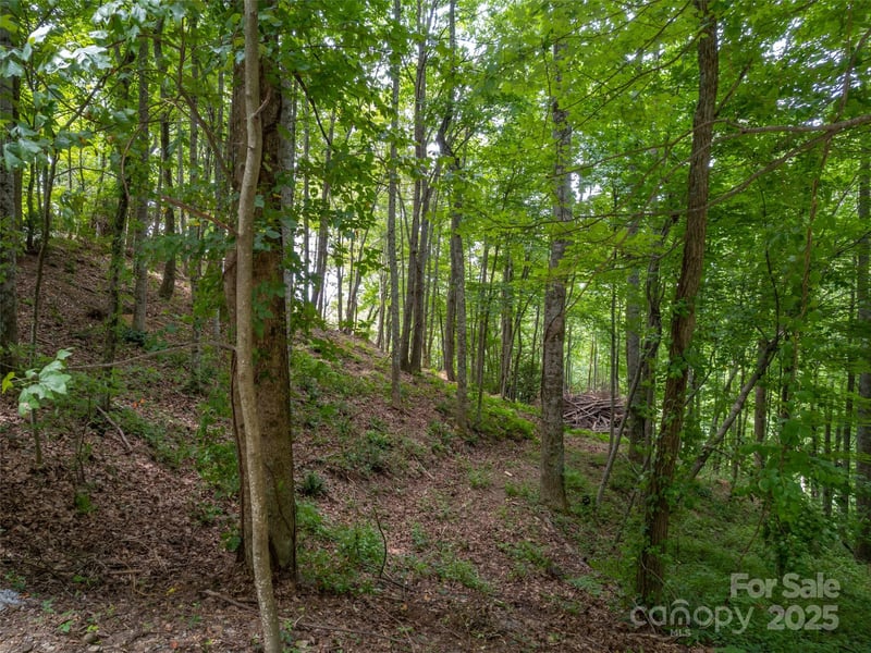 20 Highland Point Dr, Hendersonville, NC 28739
