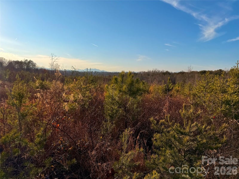 Brady Hampton Dr, Rutherfordton, NC 28139