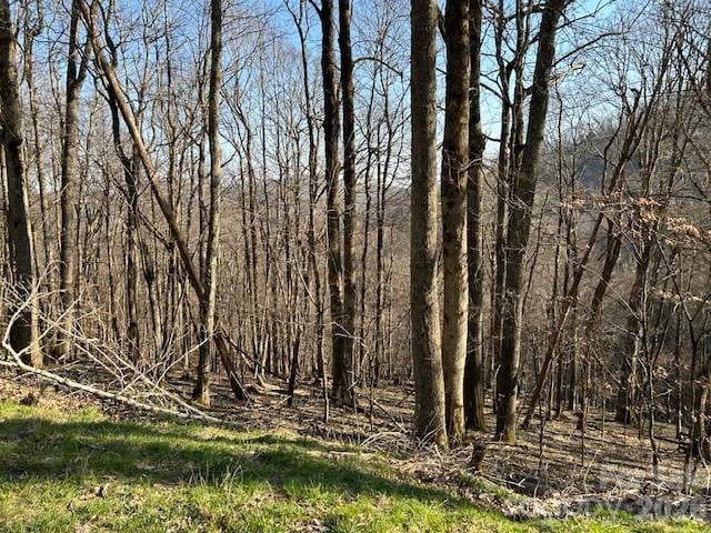 0000 Trillium Ln, Mars Hill, NC 28754