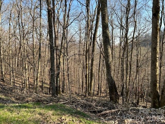 0000 Trillium Ln, Mars Hill, NC 28754