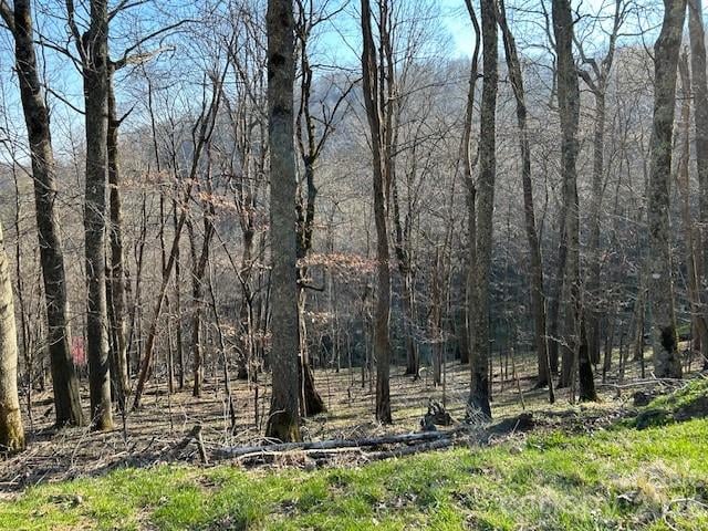 0000 Trillium Ln, Mars Hill, NC 28754