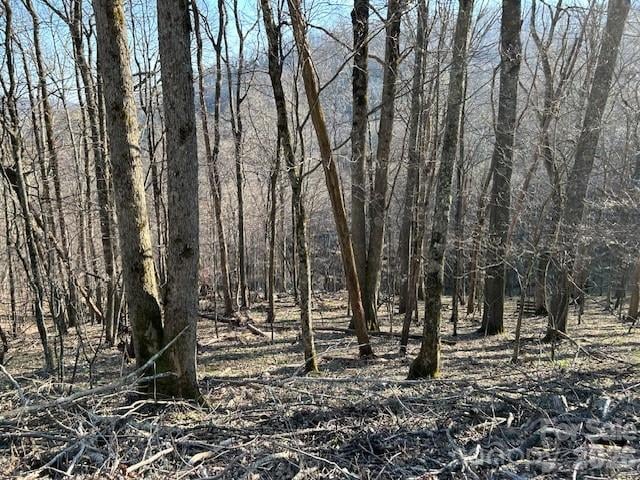0000 Trillium Ln, Mars Hill, NC 28754