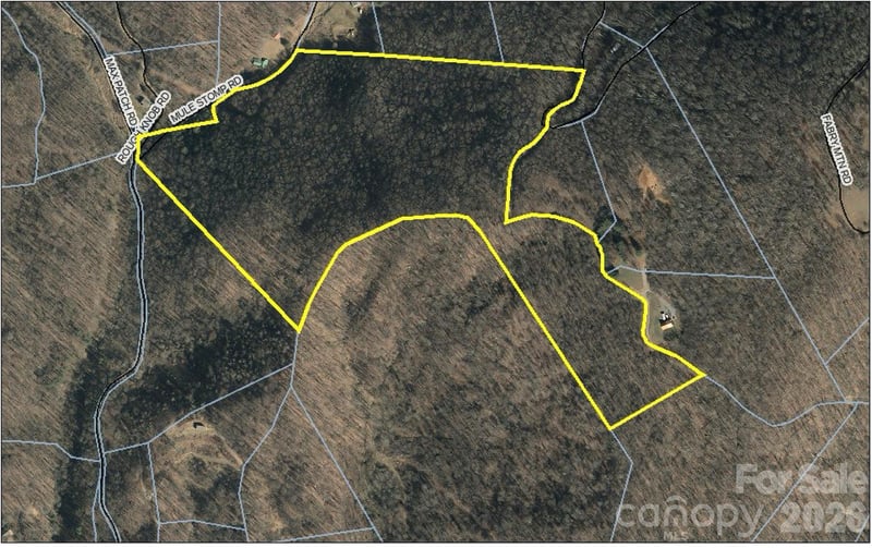 00 Mule Stomp Rd, Clyde, NC 28721